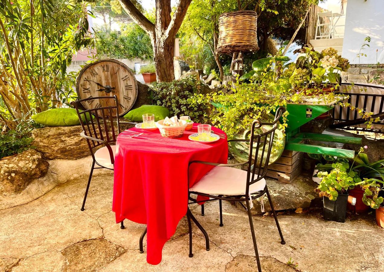 Bed and Breakfast Vign'Alva à Castelsardo Extérieur photo